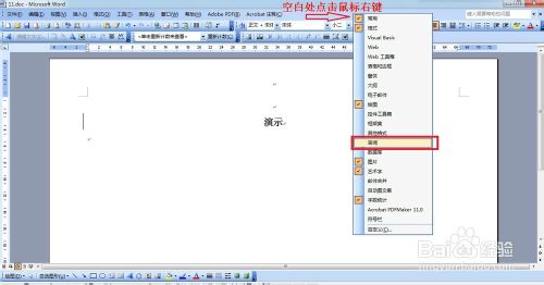 word2003文章开头左侧多出一条竖线怎么解决？4