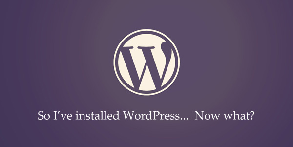 安装完 WordPress 后你应该做好这24件事1