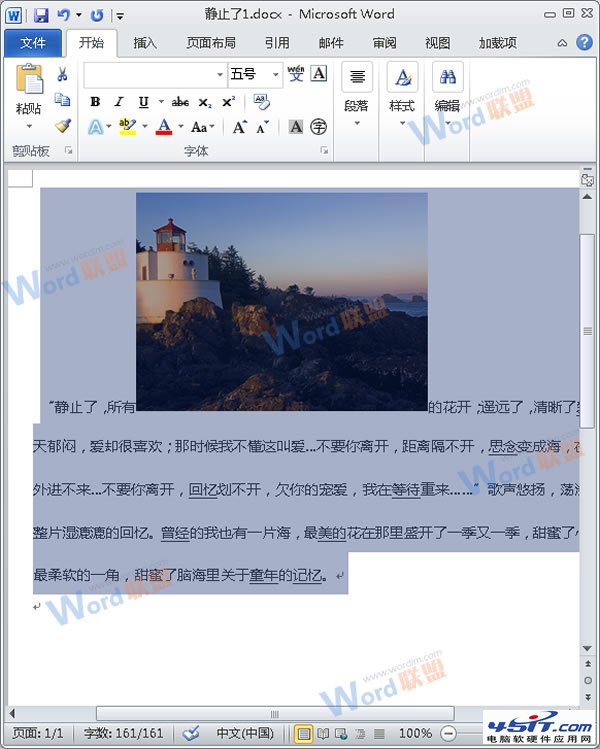 怎么把Word的内容以图片格式插入到Excel2010中?1