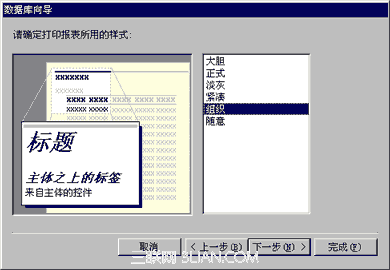 Access3.5 屏幕显示方式和打印报表样式2