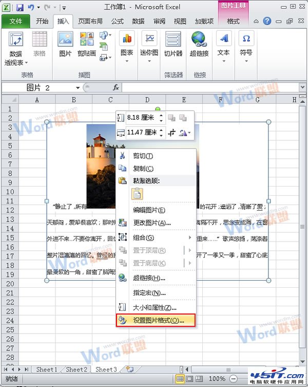 怎么把Word的内容以图片格式插入到Excel2010中?4