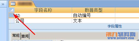 Access如何在字段定义主键3