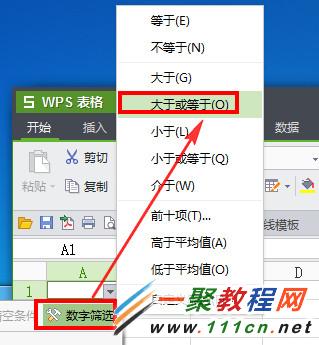 wps表格筛选数据功能在哪 wps表格筛选数据方法3