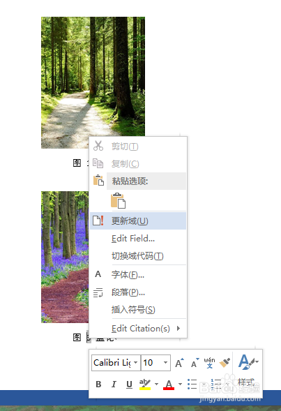 word2013给图片进行自动编号方法介绍8