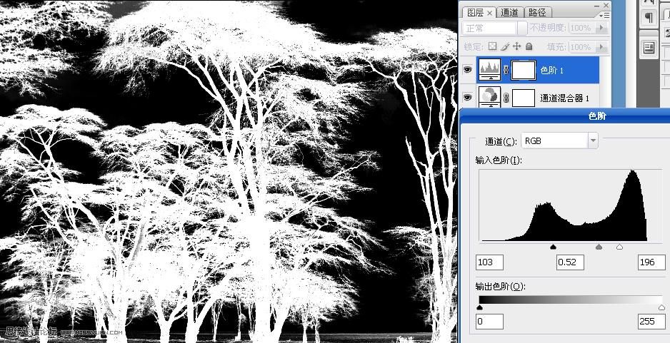 Photoshop通道混合器扣除复杂的树林4