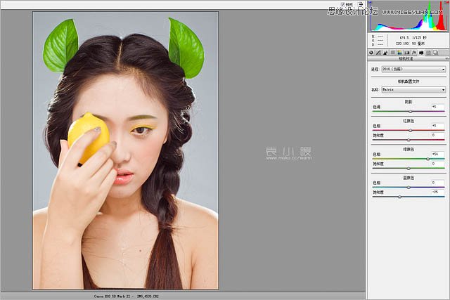 Photoshop结合CR给美女添加淡淡的彩妆7