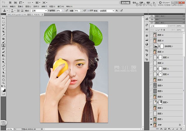 Photoshop结合CR给美女添加淡淡的彩妆9