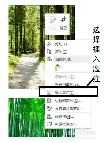 word2013给图片进行自动编号方法介绍1