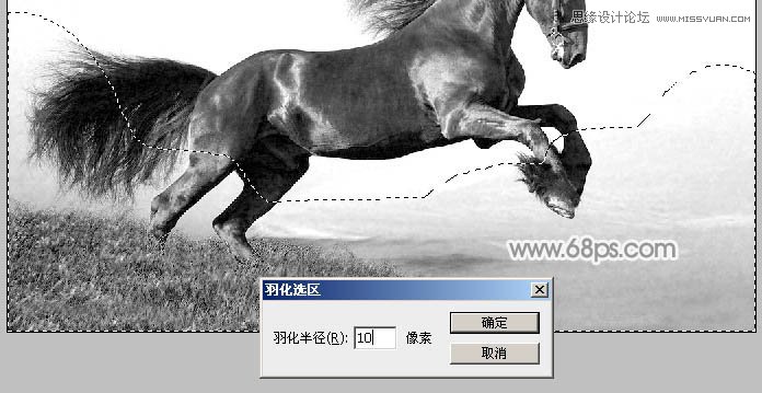 Photoshop制作中国风特效水墨骏马效果图5