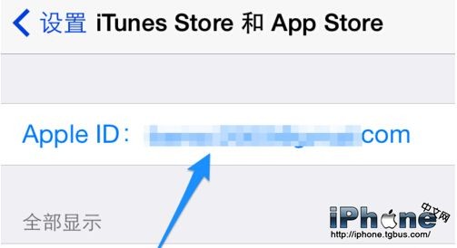 iPhone6上的itunes store不见了解决方法3