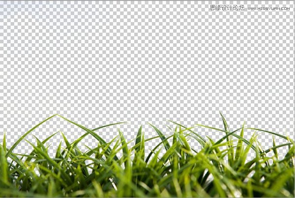 Photoshop巧用色彩范围抠出小草效果图6