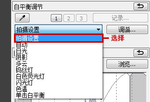 RAW工具调色板有哪些调节功能4