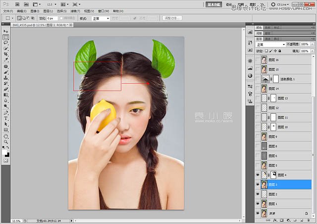 Photoshop结合CR给美女添加淡淡的彩妆11