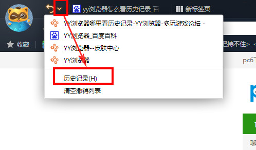 yy浏览器怎么看历史记录1