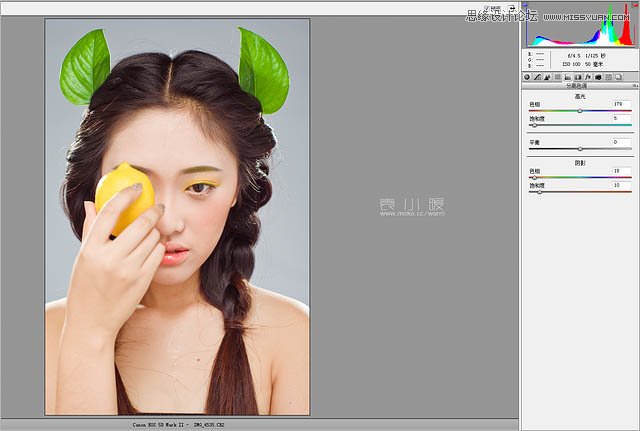Photoshop结合CR给美女添加淡淡的彩妆8