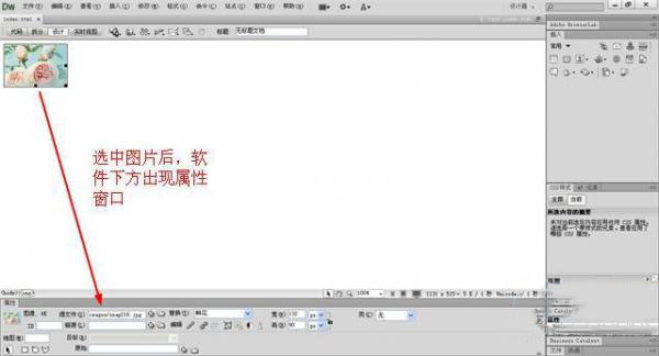 Dreamweaver图片编辑教程1