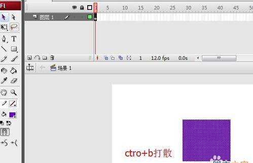 用flash制作图片变形动画效果2