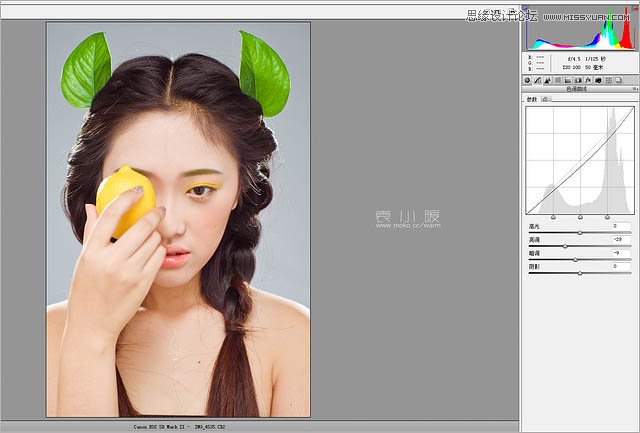 Photoshop结合CR给美女添加淡淡的彩妆6