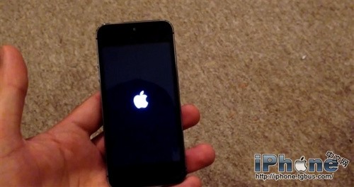 iPhone5老是自动重启怎么办1