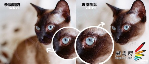 Photoshop CC 揭秘防抖滤镜的运用5