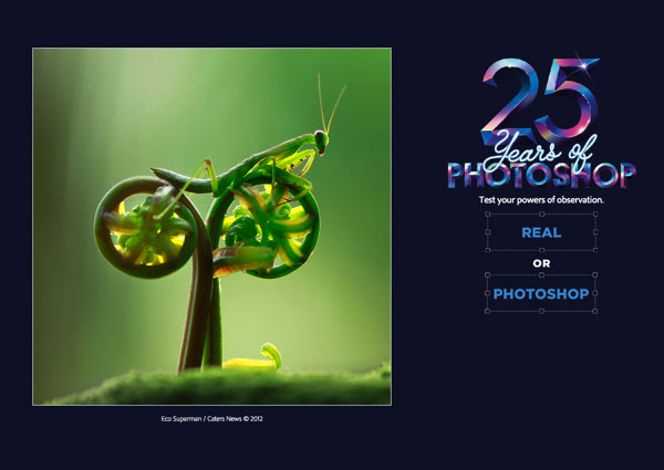 素颜还是PS？ADOBE官网邀请设计师来测试观察力！10