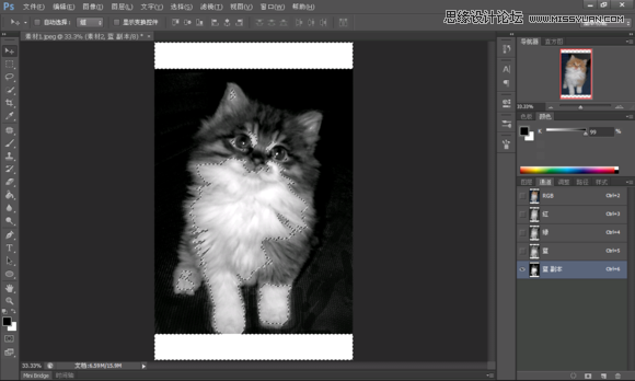 Photoshop合成创意的星空装饰的猫咪6