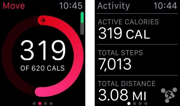 AppleWatch是怎么记录运动的 苹果手表运动追踪用法8