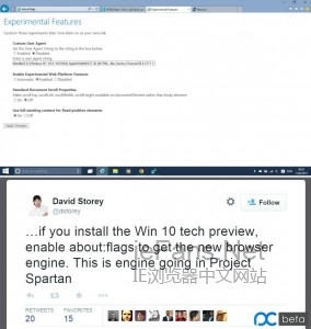 如何启用Windows 10 IE11上的“斯巴达”浏览器渲染引擎2