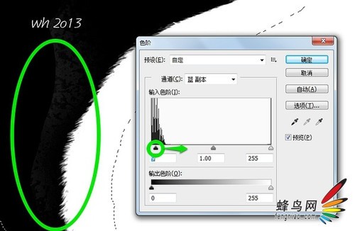 纤毫毕现 标本为例教你通道蒙版精细抠图11