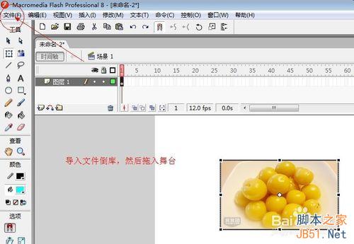 用flash制作图片的缩放、放大效果基础教程1