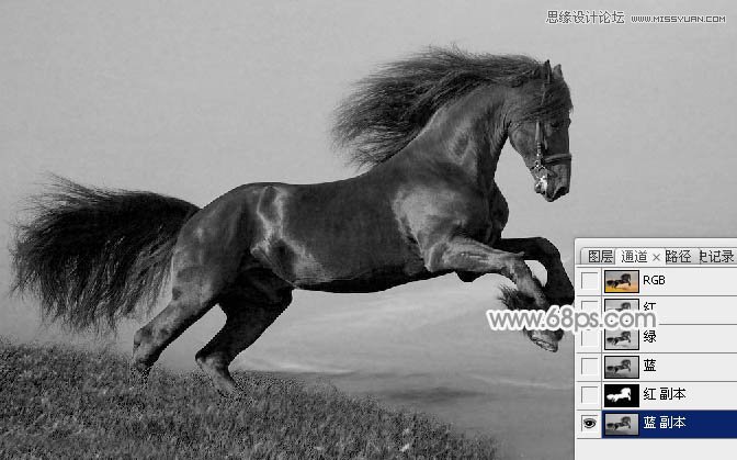 Photoshop制作中国风特效水墨骏马效果图3