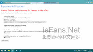 如何启用Windows 10 IE11上的“斯巴达”浏览器渲染引擎3