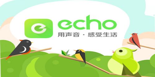 echo回声怎么样1