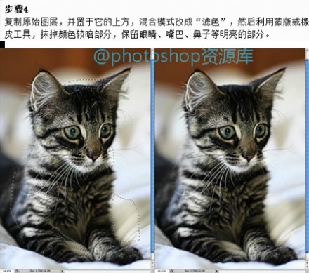 利用Photoshop高反差保留滤镜把照片变清晰5