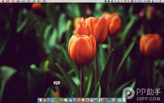 6个让OS X Dock栏更实用更绚丽的技巧2