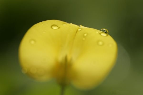 不同主题选择不同对焦点与对焦模式1