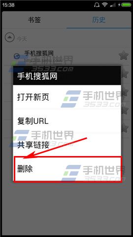 火速浏览器怎么删除历史记录5