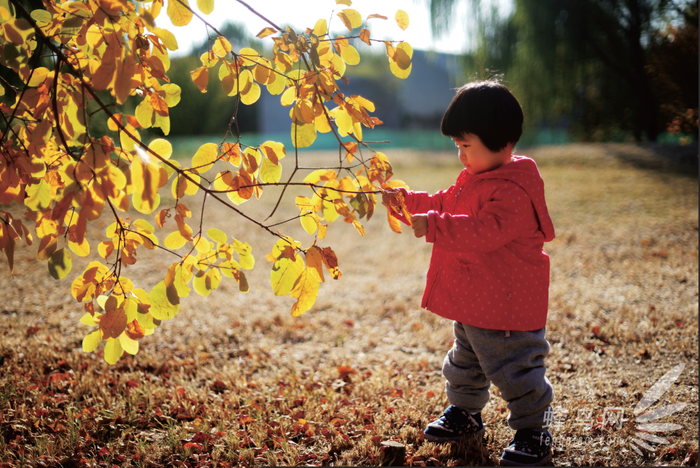 5招教你解决大光比强反差4