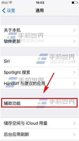 iPhone6S黑白屏怎么关闭?4