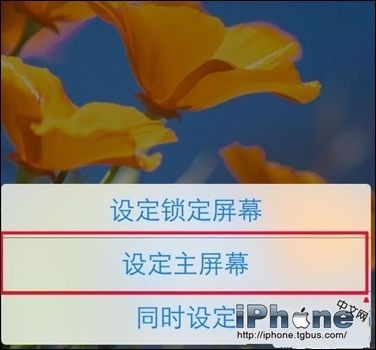 iPhone6手机壁纸大小尺寸 超简单换壁纸教程3