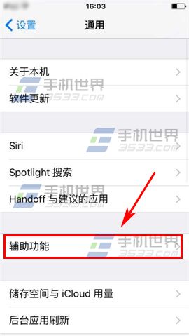 苹果iPhone6sPlus变成黑白屏怎么办4