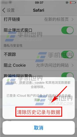 苹果iPhone6S清除浏览器缓存方法5