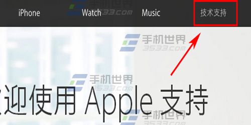 苹果iPhone6S怎么查激活时间2