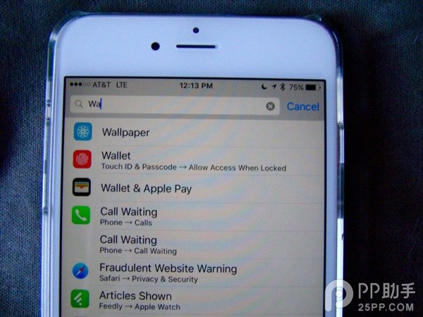 iOS9设置中的搜索框有妙用1