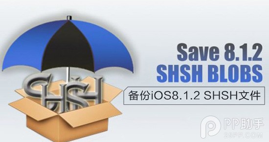 教你iOS8.1.2越狱后备份SHSH文件1