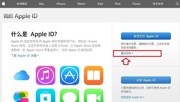 Apple ID怎么重设密码5