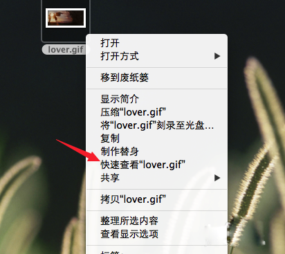 Mac系统怎么查看gif图片？3