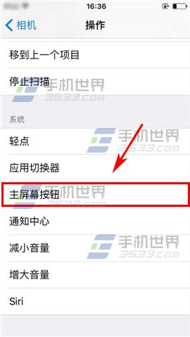 苹果iPhone6S切换控制设置方法9