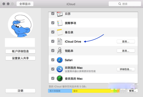 Mac上的iCloud Drive怎么用4