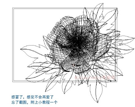 巧用Illustrator设计 绽放的牡丹花2